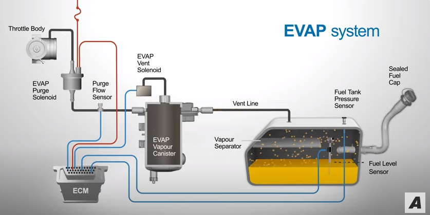 evap system