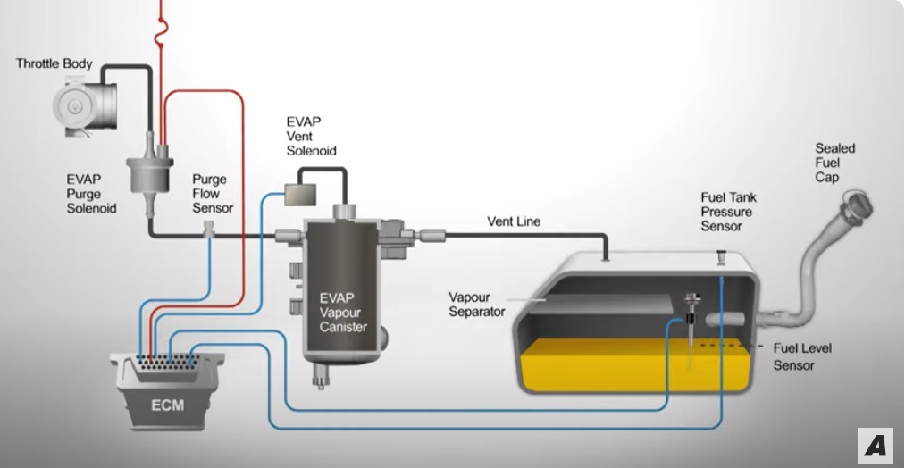 evap system operation 